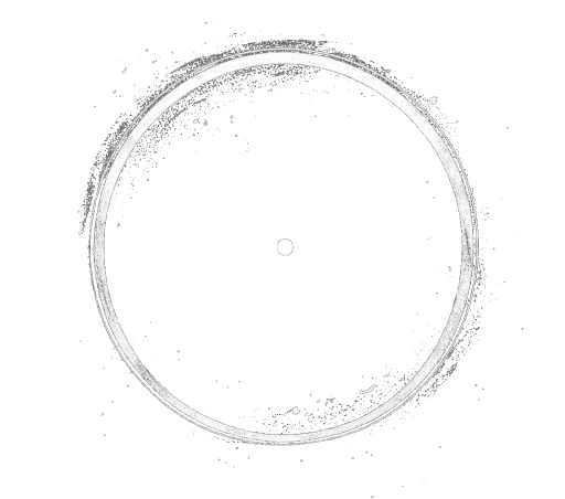 Freedom Collective logo